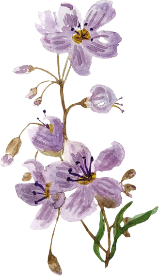 loose watercolor floral purple