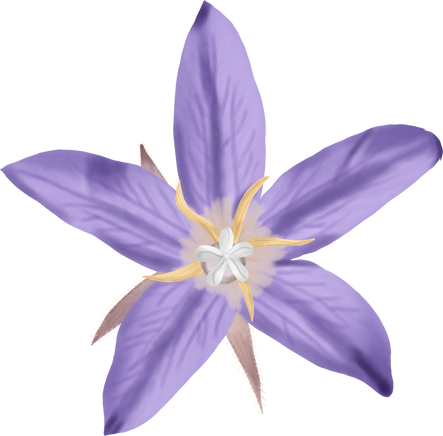 Purple Flower Illustration